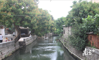 水氣環(huán)境持續(xù)向好 順德全面推進'區(qū)域環(huán)評+環(huán)境標準'改革與技術服務創(chuàng)新