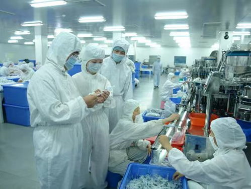 蘇州車間凈化建設的關鍵技術與浙江美兆環(huán)境技術的專業(yè)實踐